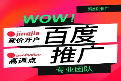 百度竞价广告的优化之路：某科技公司的成功经验
